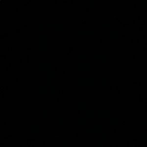 Meet your Posher, Aaliyah